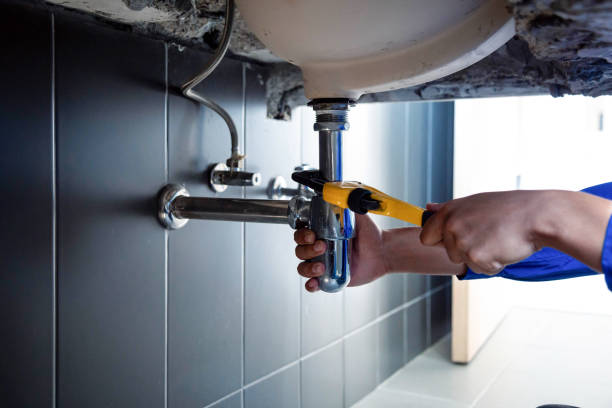  Mount Pleasant, MI Plumbing Services Pros